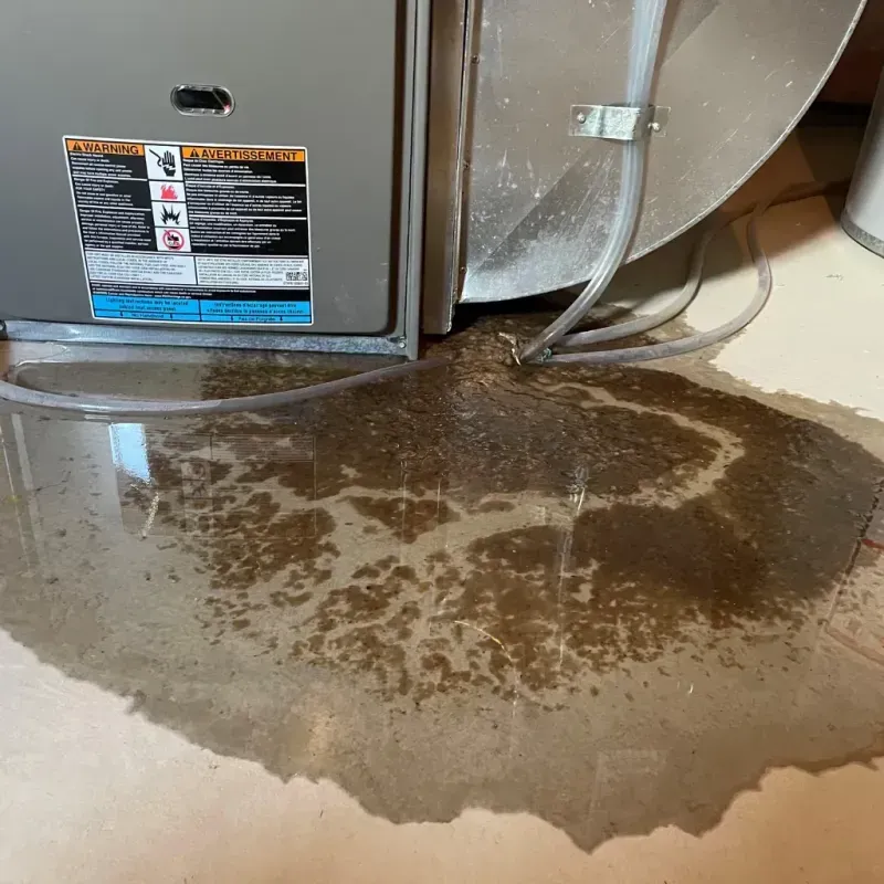 Appliance Leak Cleanup in Sylva, NC